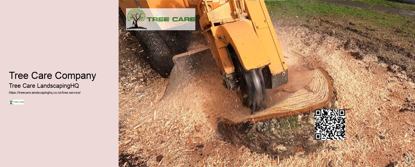 Stump Grinding Wellington NZ