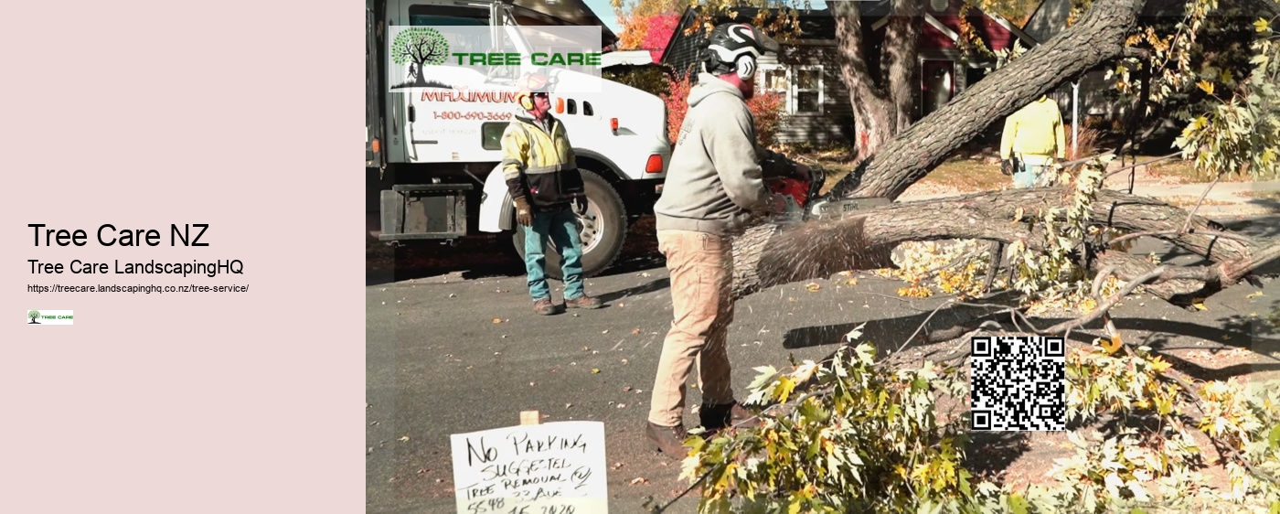 Tree Services Tauranga