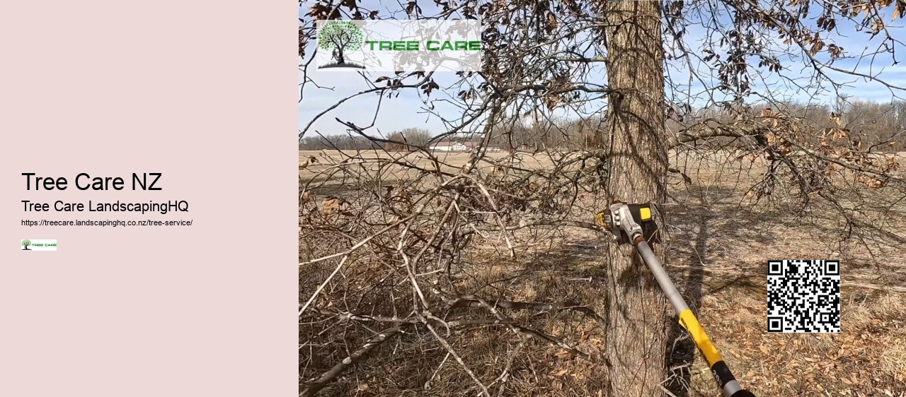 Tree Care NZ