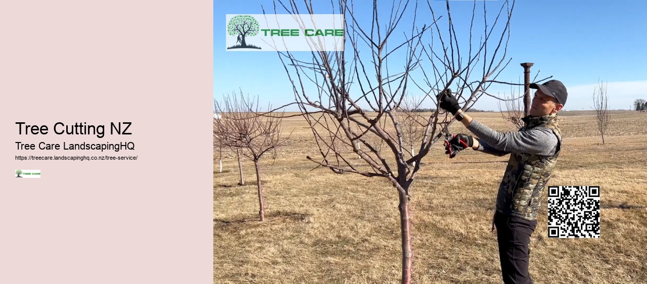 Tree Cutting NZ