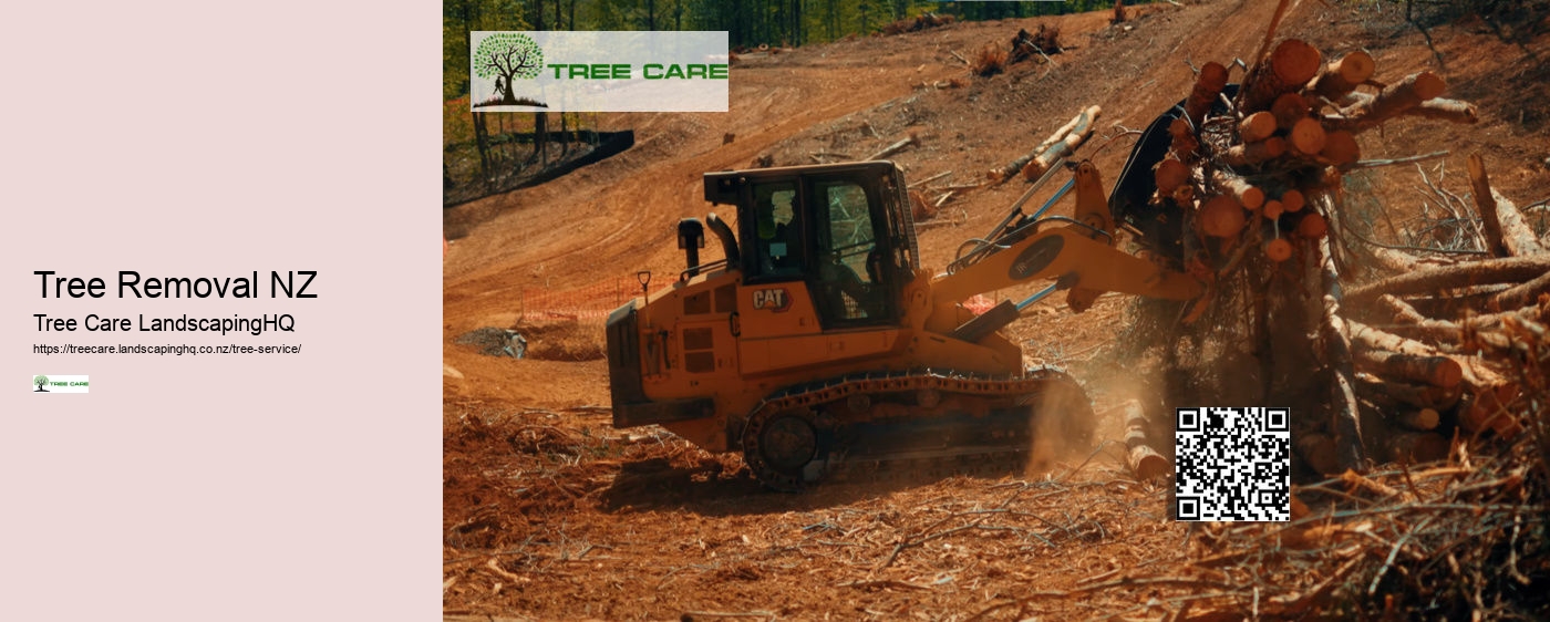 Arborist Katikati