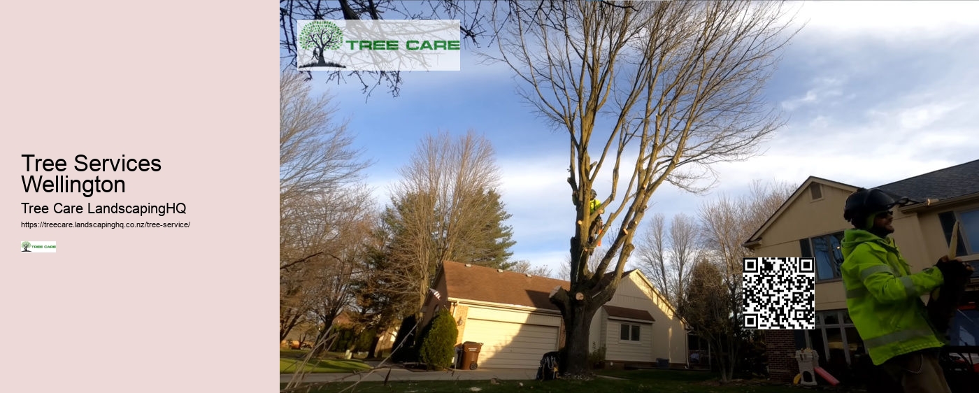 Tree Surgeon New Zealand