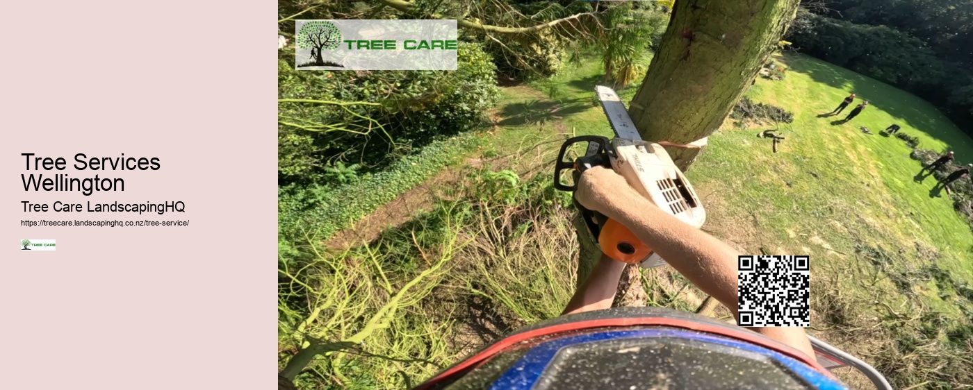 Tree Removal East Auckland