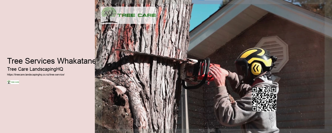 Tree Care NZ