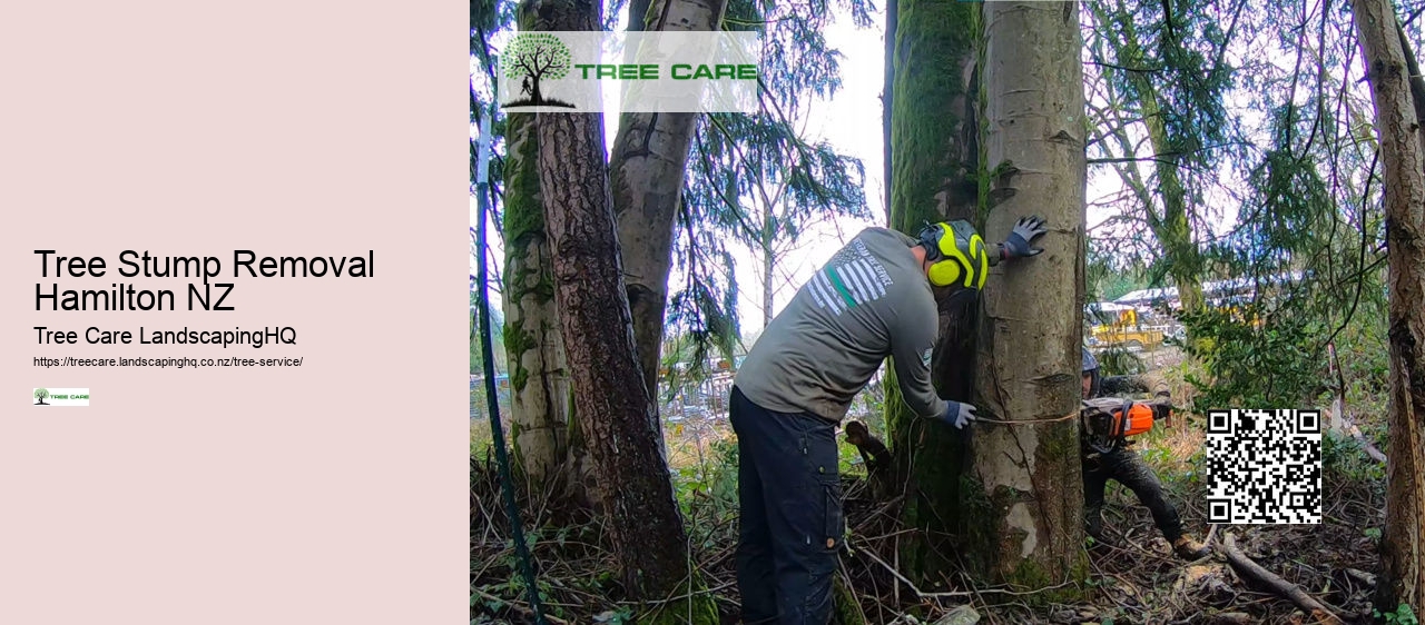 Tree Stump Removal Hamilton NZ