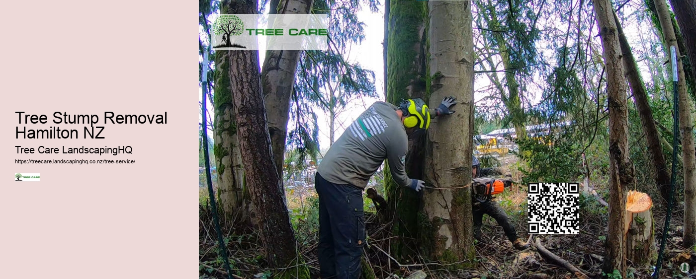 Tree Services NZ