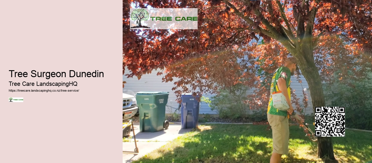 Tree Surgeon Dunedin