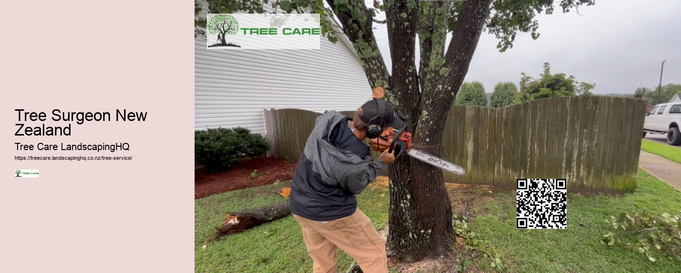 Stump Grinding NZ