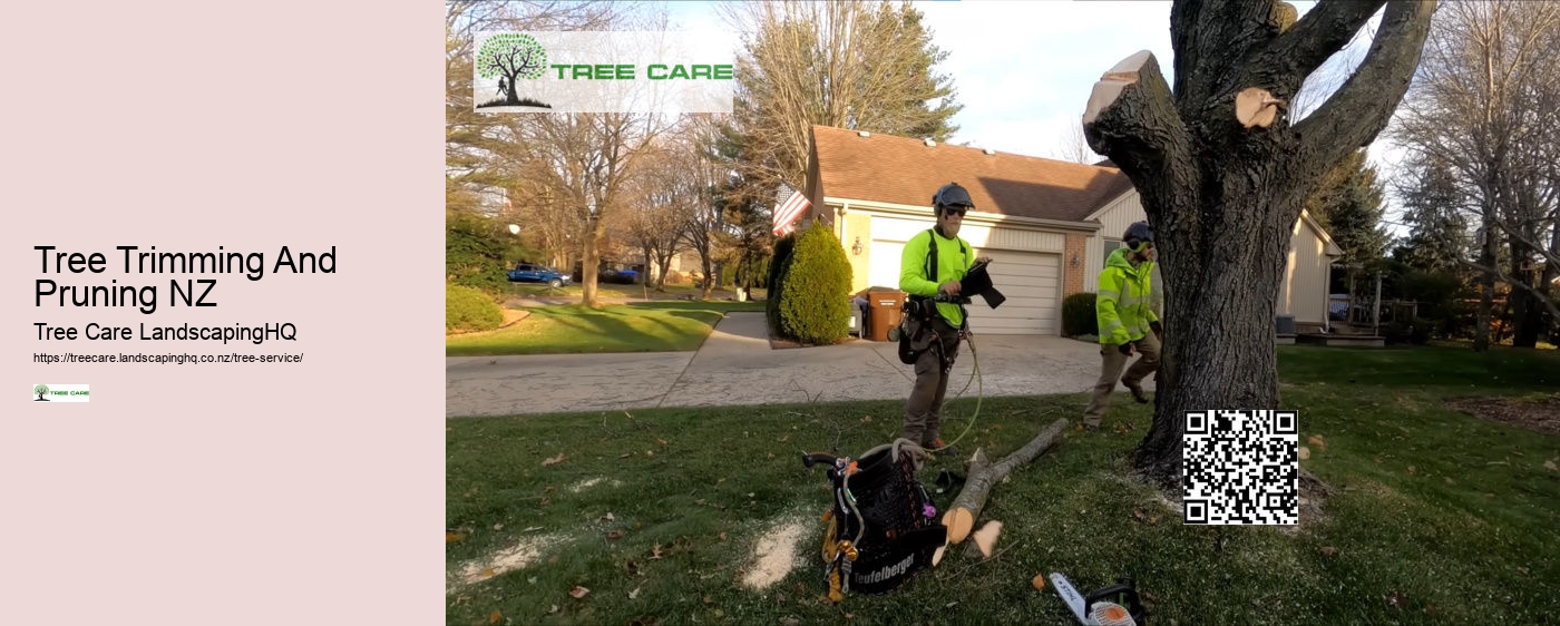 Tree Doctor Auckland