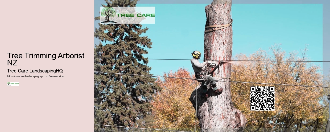 Free Arborist Consultation