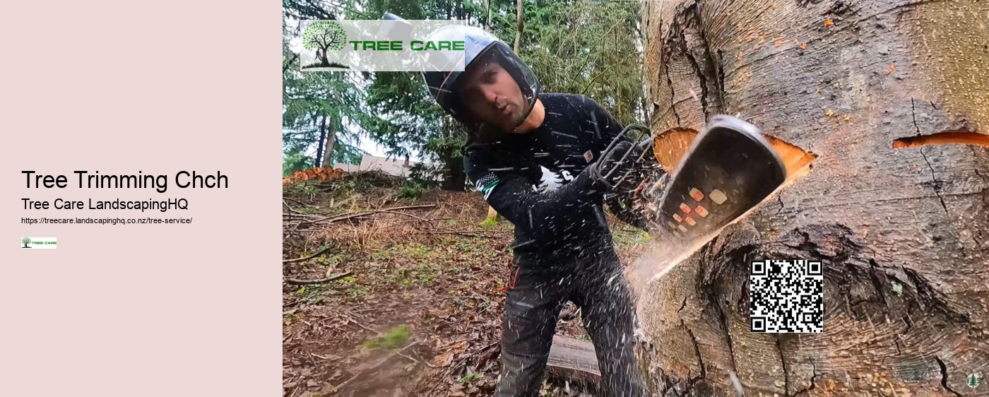 Tree Trimming Palmerston North