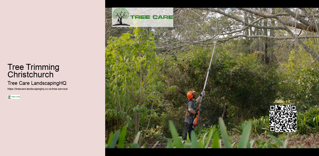 Tree Trimming Christchurch