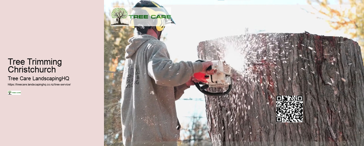 NZ Tree Care Queenstown