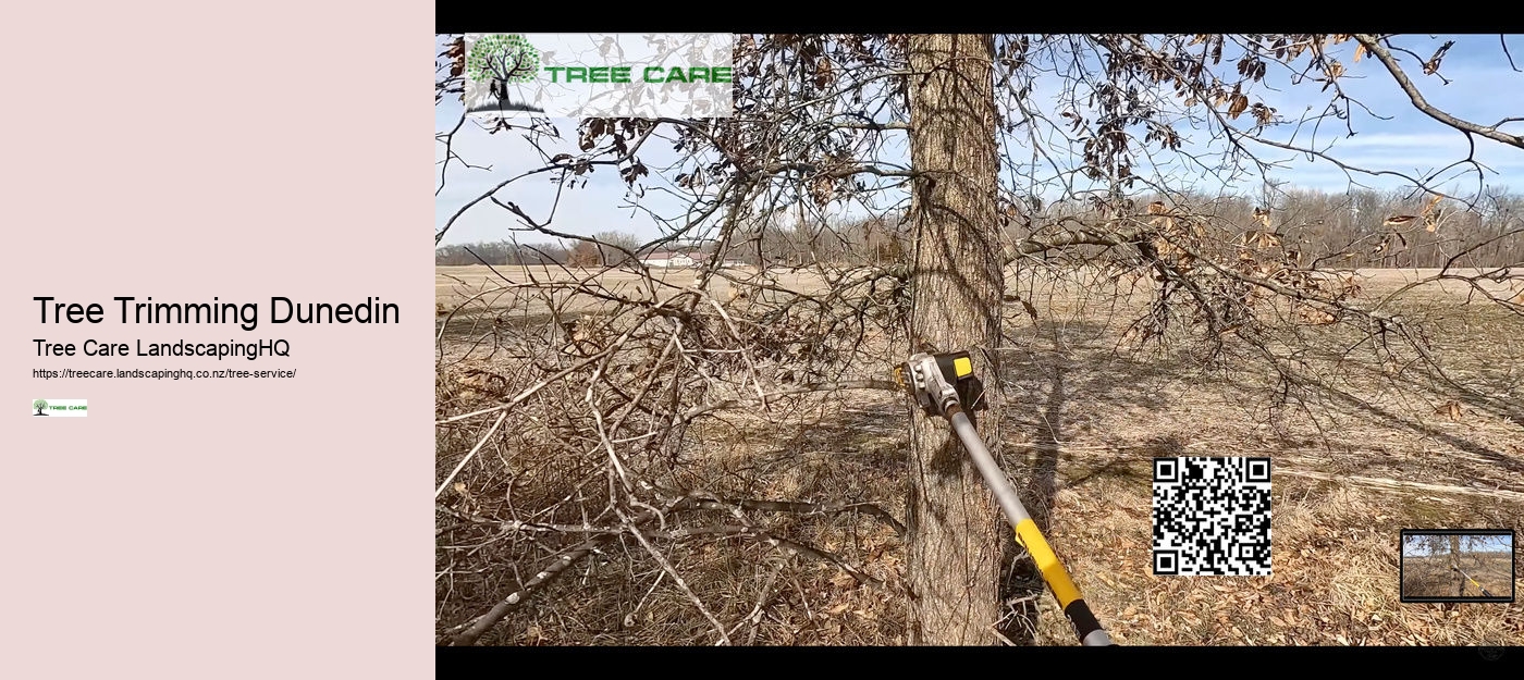 Tree Arborist Near Me