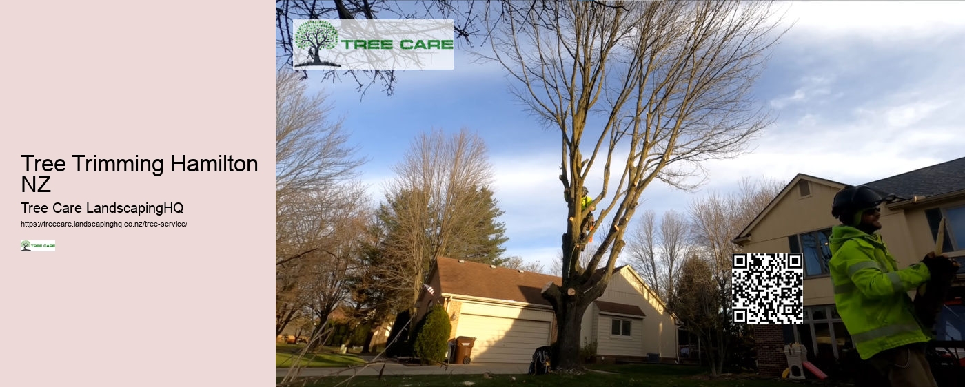 Tree Services Christchurch