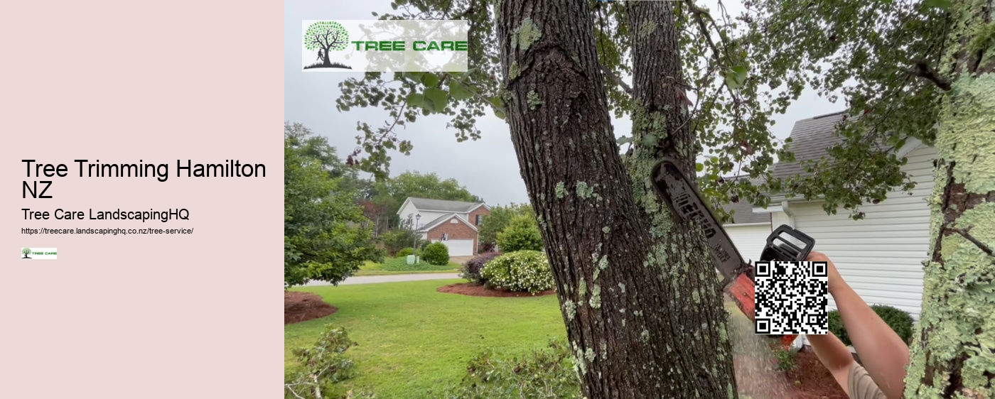 Fruit Tree Care NZ