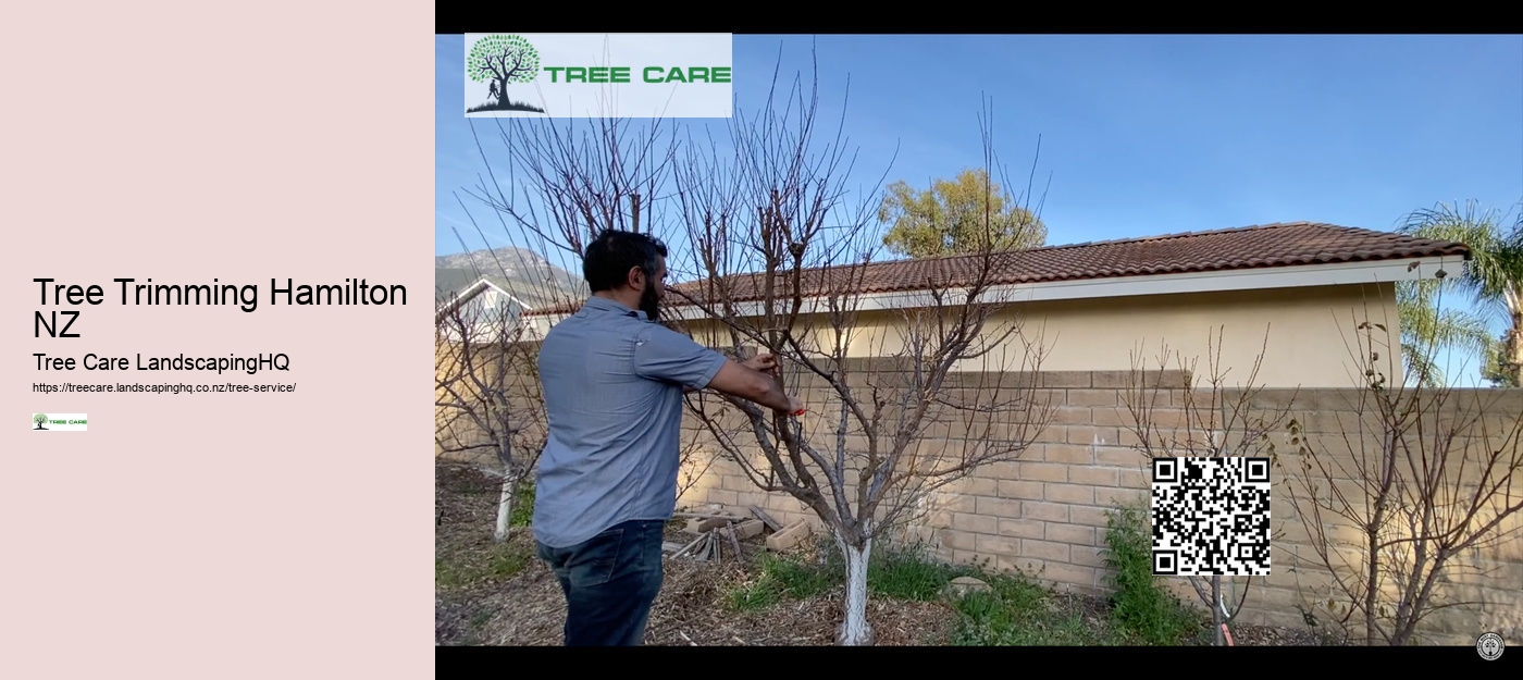 Tree Removal Queenstown NZ