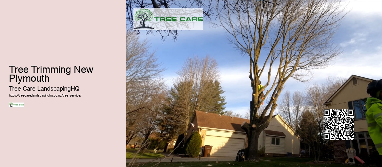 Tree Trimming New Plymouth