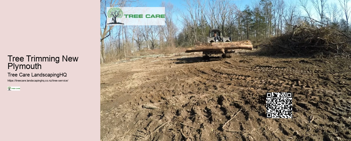 Tree Trimming Arborist Near Me