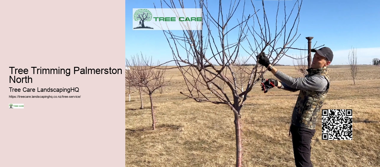 Tree Trimming Palmerston North