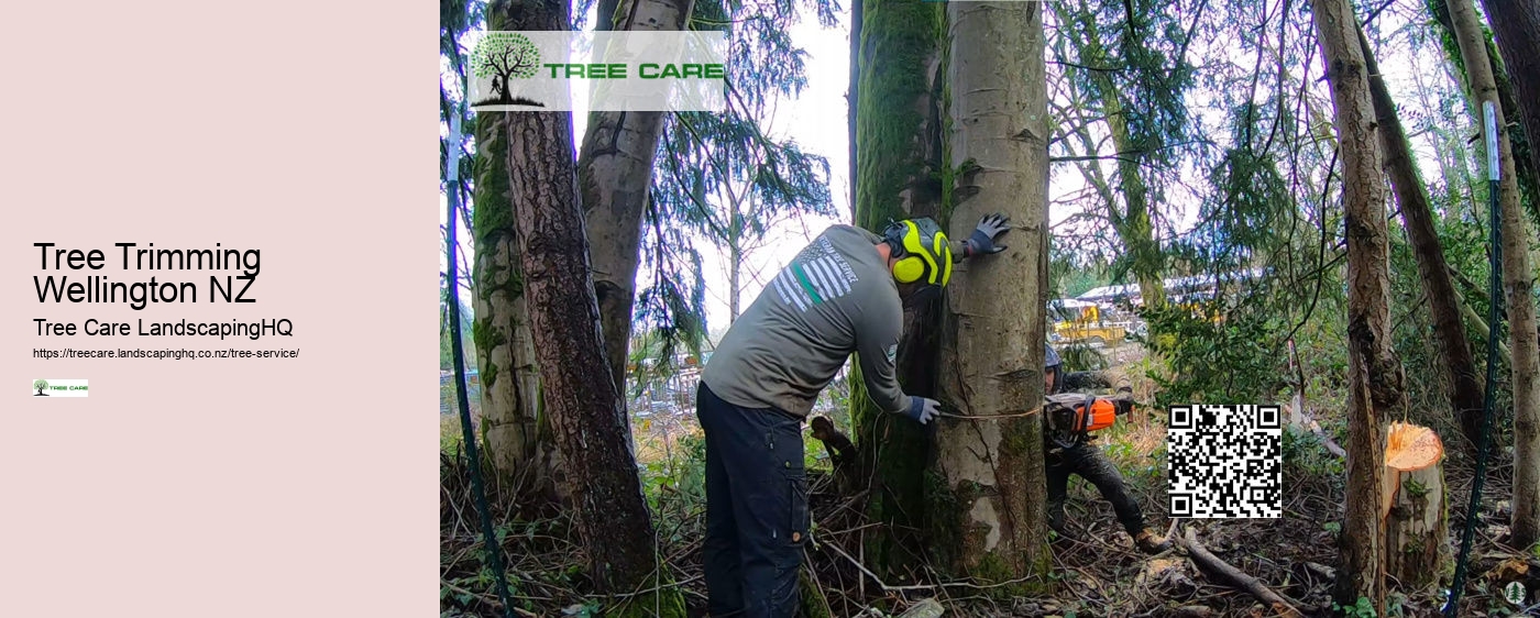 Tree Services Whangarei